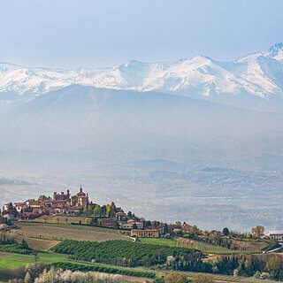 Novello